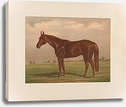 Постер Сталл Генри Пьемонт