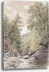 Постер Миллер Уильям Рикарби Catskill Clove in Palingsville