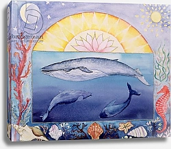 Постер Александер Вивика (совр) Whales
