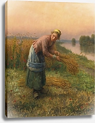 Постер Найт Дэниэль The Gleaner