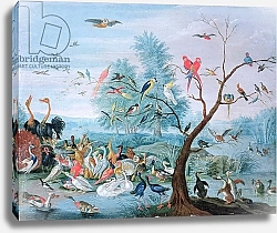 Постер Кессель Ян Tropical birds in a landscape