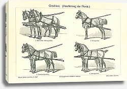 Постер Способы запряжки лошадей