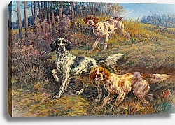 Постер Остхаус Эдмунд Трехочковый