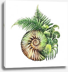 Постер Древняя морская раковина и папоротник