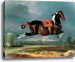 Постер Гамильтон Йоханн The piebald horse 'Cehero' rearing