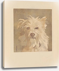 Постер Жуайо Амеде Nicolas ;