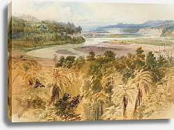 Постер Шевалье Николас Верхний Рангитикей