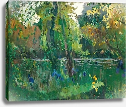 Постер Мир-и-Триншет Жоаким Riverbank In The Forest