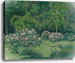 Постер Ошеде-Моне Бланш Le jardin à Giverny