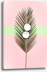 Постер Кокос на пальмовом листе