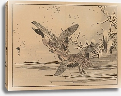 Постер Байрей Коно Байрей гафу, пл.47