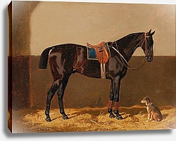 Постер Волкерс Эмиль Перед поездкой