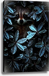 Постер Енот в кустах