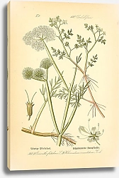 Постер Flora von Deutschland №5