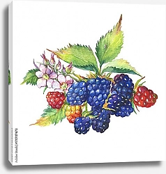 Постер Веточка ежевики с ягодами и цветами 2