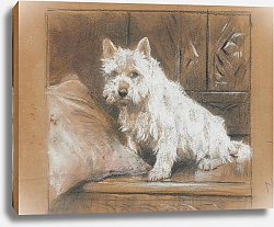 Постер Уордл Артур A West Highland Terrier seated on a carved bench