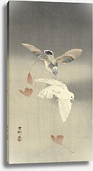 Постер Косон Охара Two pigeons with falling ginkgo leaves