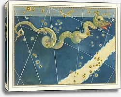 Постер Байер Иоганн Hydra