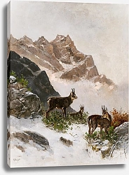 Постер Бергер Георг Chamois in the Snow
