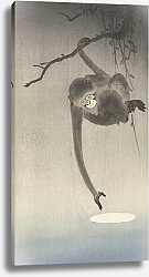 Постер Косон Охара Monkey and reflection of the moon