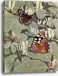 Постер Робер Поль-Андре Стреляющий