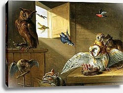 Постер Кессель Ян A Family of Owls, other Birds and a Cat