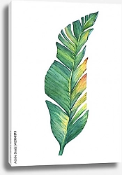 Постер Экзотический тропический банановый листок