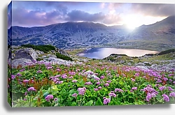 Постер Пейзаж с цветущим лугом и горным оезером