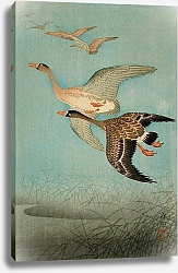 Постер Косон Охара Flying Geese