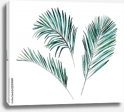 Постер Набор акварельных пальмовых листьев
