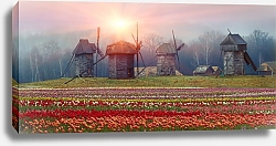Постер Ветряные мельницы на поле тюльпанов