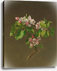 Постер Хид Мартин Джонсон ЯБЛОНЕВЫЙ ЦВЕТ