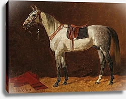Постер Волкерс Эмиль Оседланная Белая лошадь в конюшне