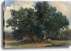 Постер Калам Александр Landscape With Oak Trees