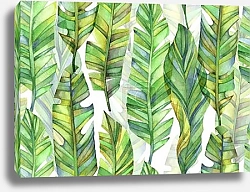 Постер Светло-зеленые листья банана 