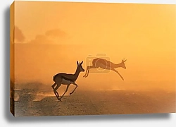 Постер Скачущие антилопы на закате в прерии