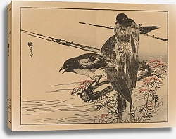 Постер Байрей Коно Байрей гафу, пл.08