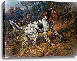 Постер Остхаус Эдмунд Английский сеттер с куропаткой