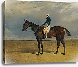 Постер Херринг Джон Маргрейв, Скаковая Лошадь Печеночно-Каштановой Породы, С Жокеем Джеймсом Робинсоном В Донкастере
