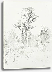 Постер Ричмонд Джеймс Обездоленные туземцы, таранаки