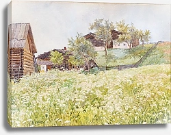 Постер Эгнер Мари Farm houses, a white blooming field in front of it