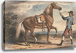 Постер Stable Boy Holding a Horse in a Landscape