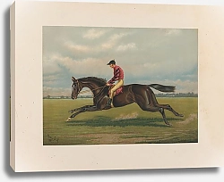 Постер Сталл Генри Ирокез