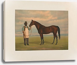 Постер Сталл Генри Бонни Шотландия