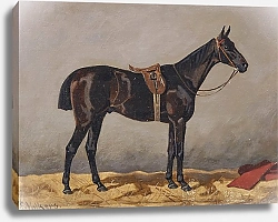 Постер Волкерс Эмиль Rappe in einem Stall