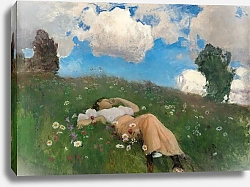 Постер Ярнефельт Ээро Сайми на лугу