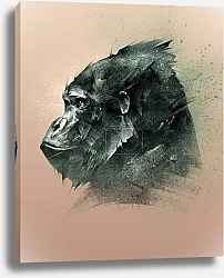 Постер Иллюстрация головы обезьяны