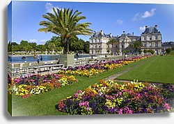 Постер Франция, Париж. Люксембургский дворец с цветами