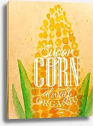 Постер Сахарная кукуруза