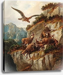 Постер Мюллер Моритц Серна и орел на крутом утесе